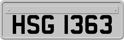 HSG1363