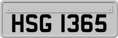 HSG1365