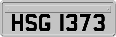 HSG1373