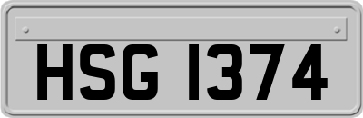 HSG1374