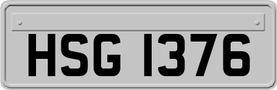 HSG1376