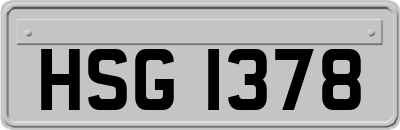 HSG1378