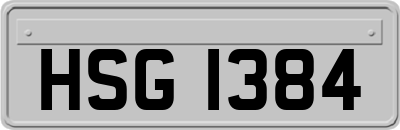 HSG1384