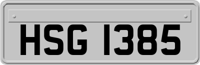 HSG1385