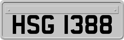 HSG1388