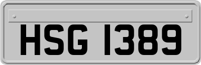 HSG1389