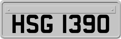 HSG1390
