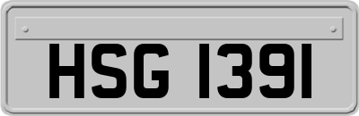 HSG1391
