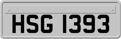 HSG1393