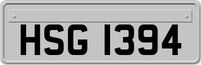HSG1394