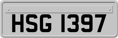 HSG1397