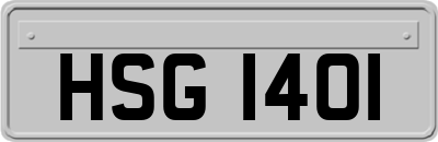 HSG1401