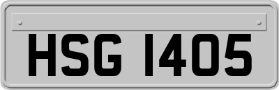 HSG1405