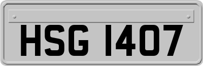 HSG1407