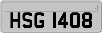 HSG1408