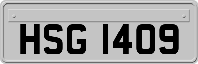 HSG1409