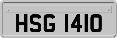 HSG1410