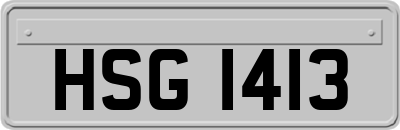 HSG1413