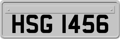 HSG1456