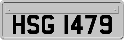HSG1479