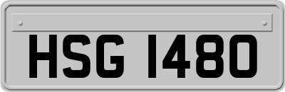 HSG1480