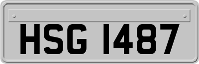 HSG1487