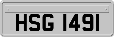 HSG1491