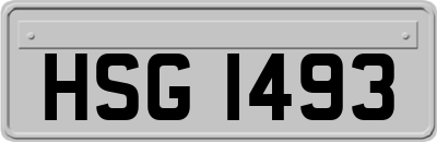 HSG1493