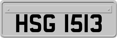 HSG1513