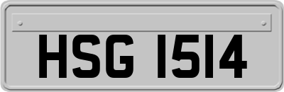 HSG1514