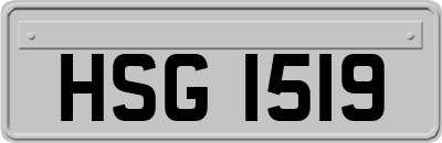 HSG1519