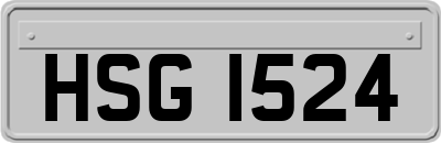 HSG1524