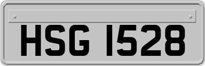 HSG1528