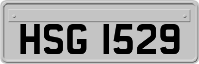 HSG1529