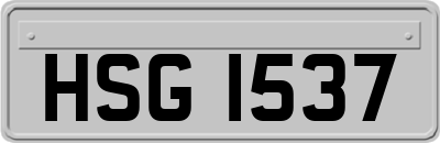 HSG1537