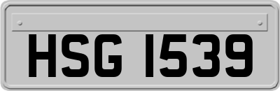 HSG1539