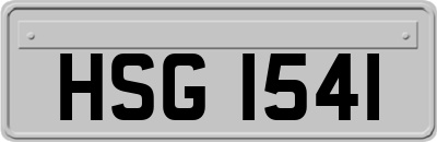 HSG1541