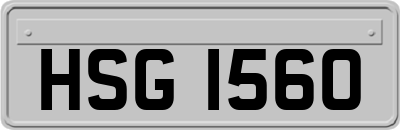 HSG1560