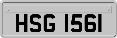 HSG1561