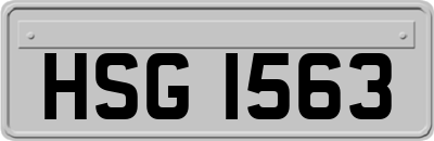 HSG1563