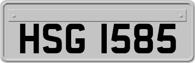 HSG1585