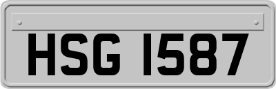 HSG1587