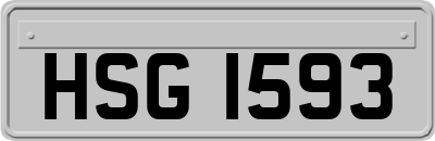 HSG1593