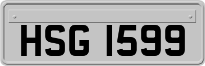 HSG1599