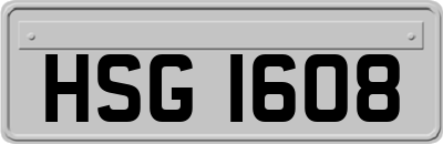HSG1608