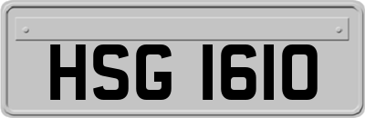 HSG1610