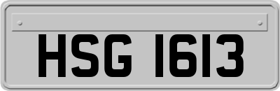 HSG1613