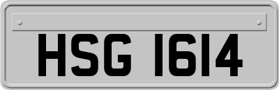 HSG1614