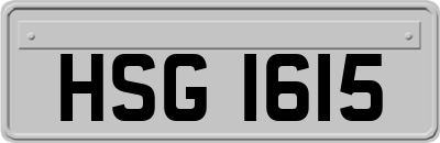 HSG1615