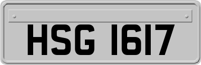 HSG1617